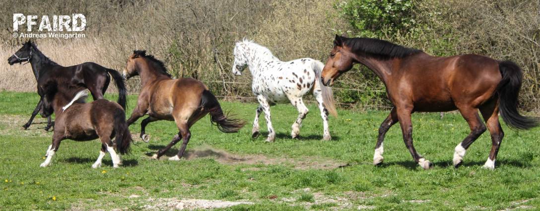 schule-5126.jpg schule-5126.jpg