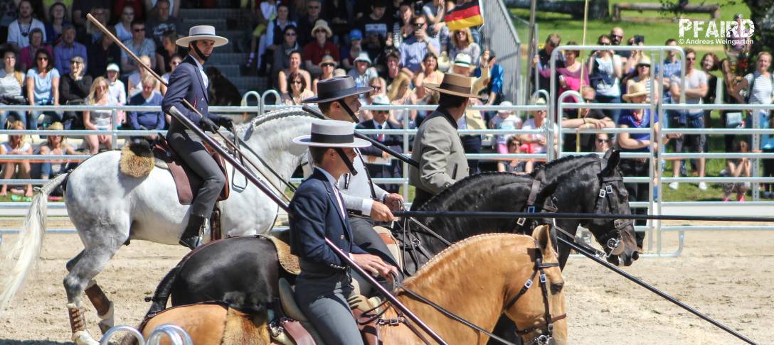 we-0743.jpg we-0743.jpg