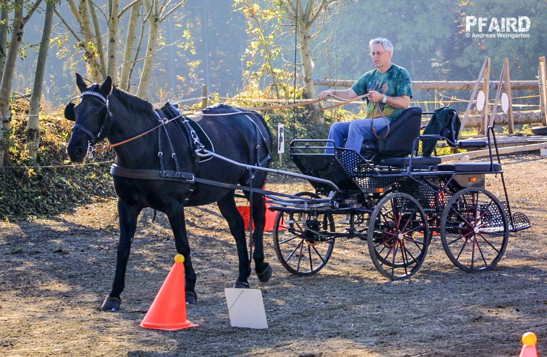 wyoming-206.jpg wyoming-206.jpg