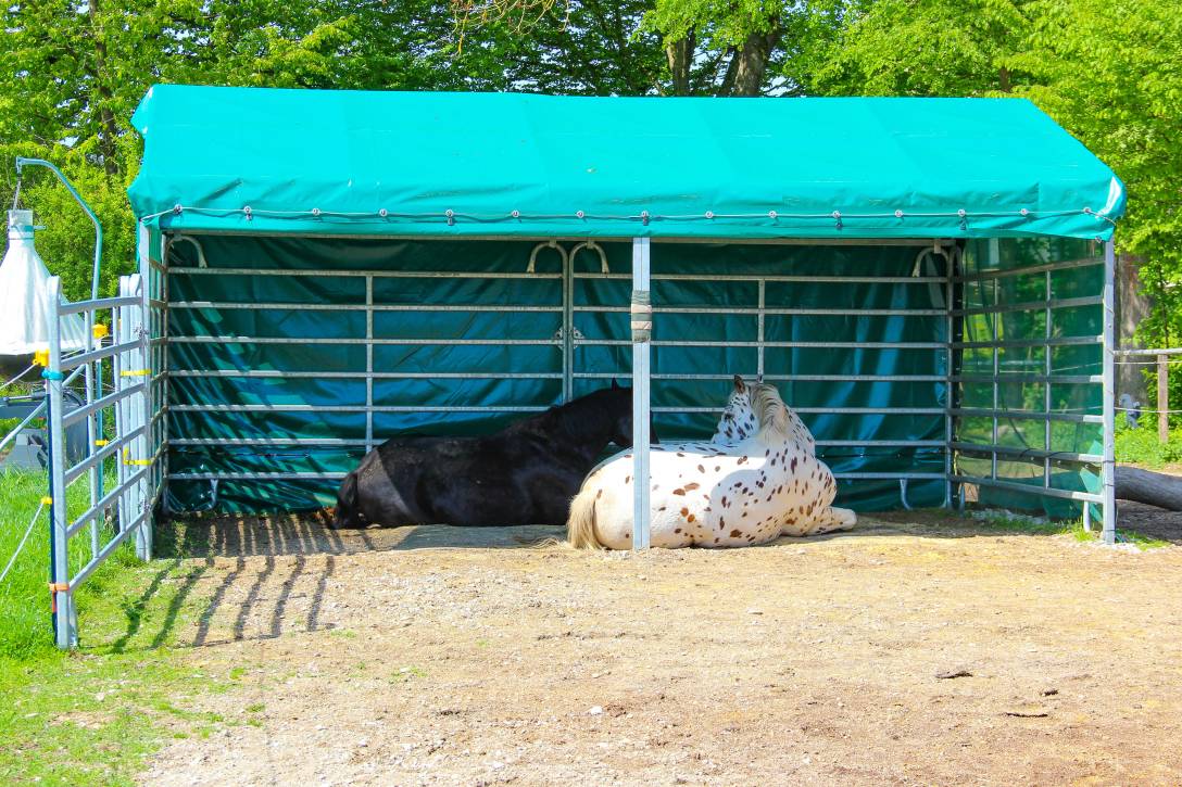 hit-comfort-0994.jpg hit-comfort-0994.jpg