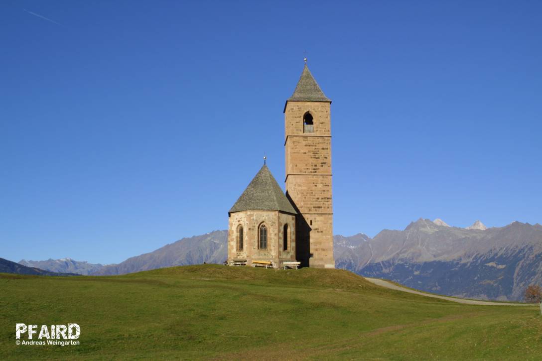 haflinger-2629.jpg haflinger-2629.jpg