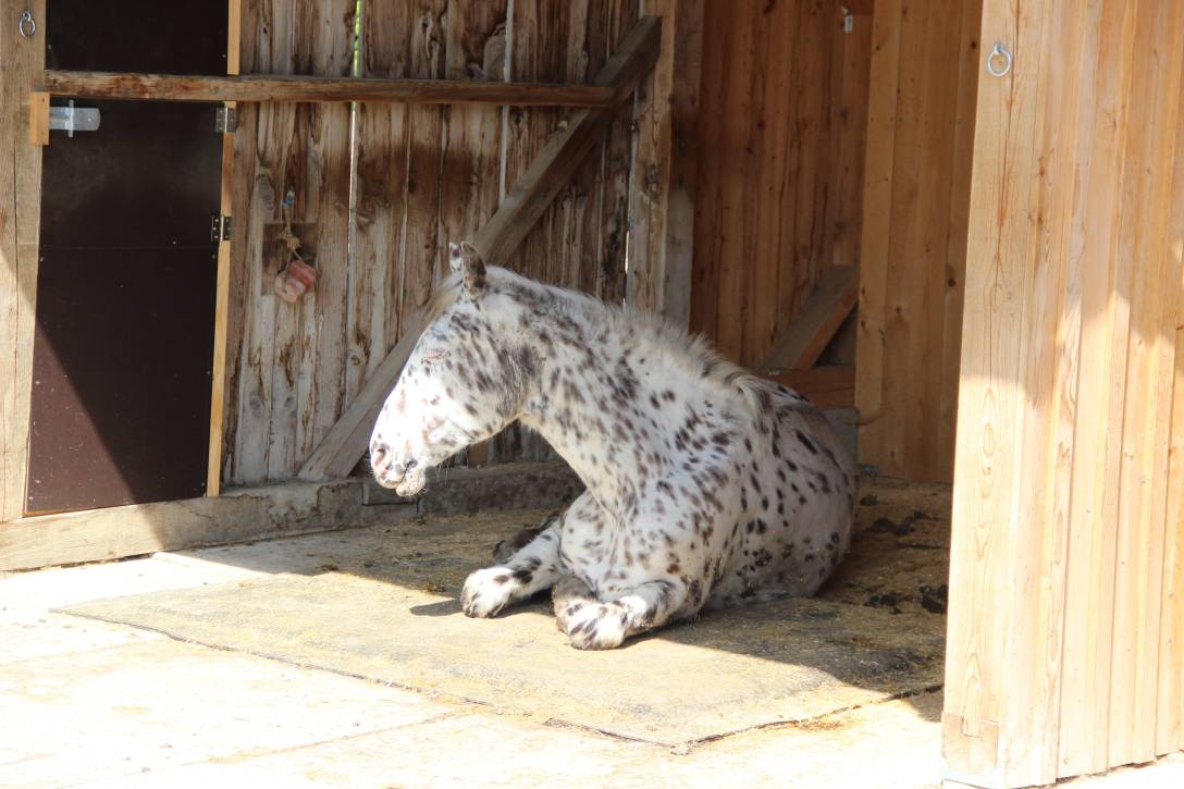 hit-comfort-0987.jpg hit-comfort-0987.jpg