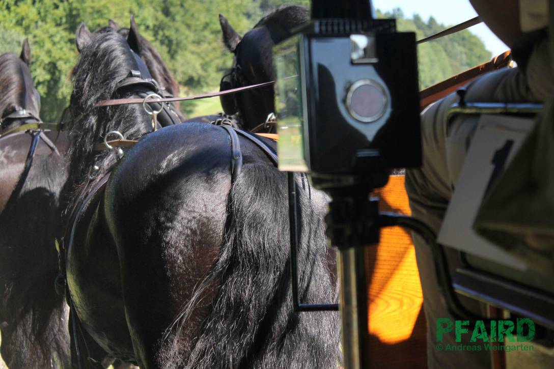 schule-7980.jpg schule-7980.jpg