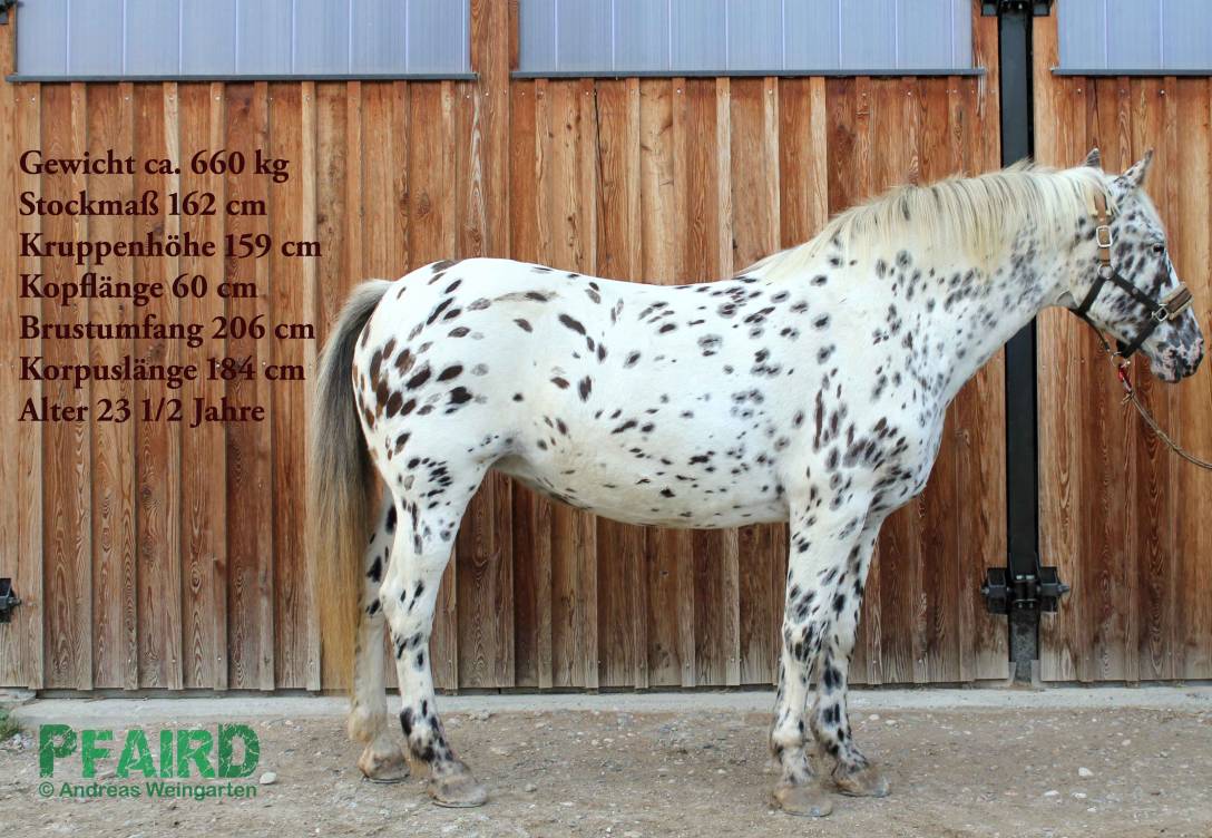 samira-.jpg samira-.jpg