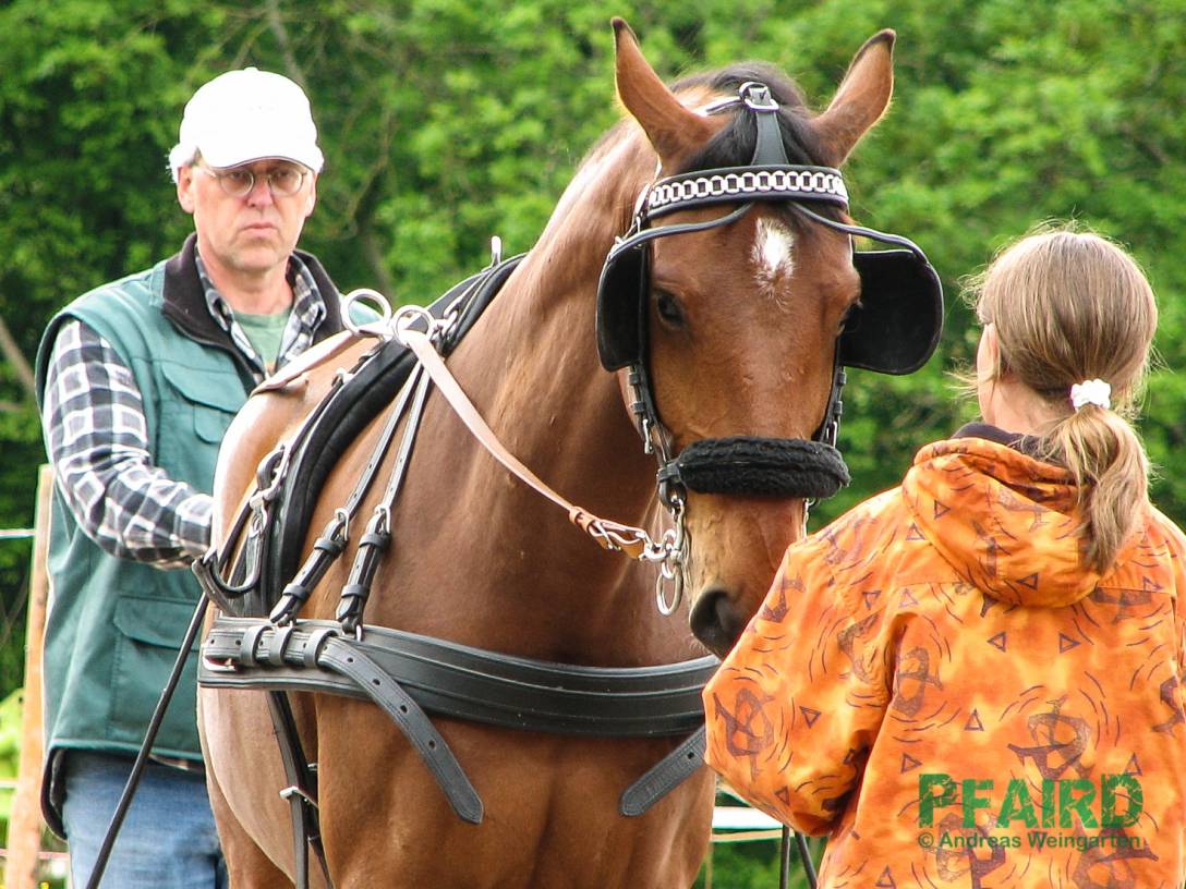 schule-3298.jpg schule-3298.jpg