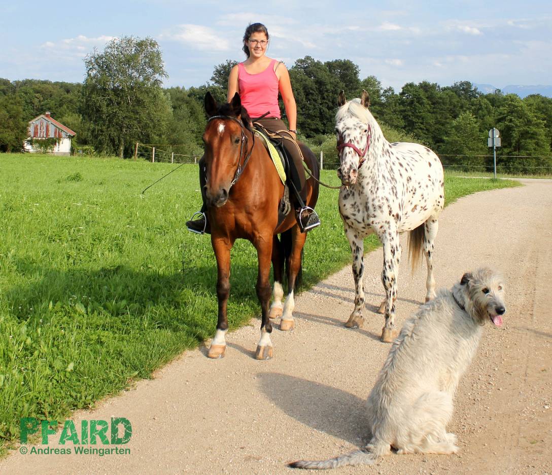 lisa-2377-klein.jpg lisa-2377-klein.jpg